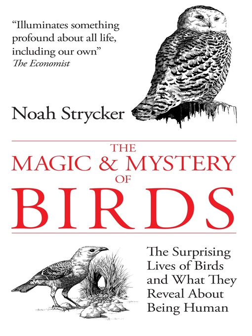 Title details for The Magic & Mystery of Birds by Noah Strycker - Available
